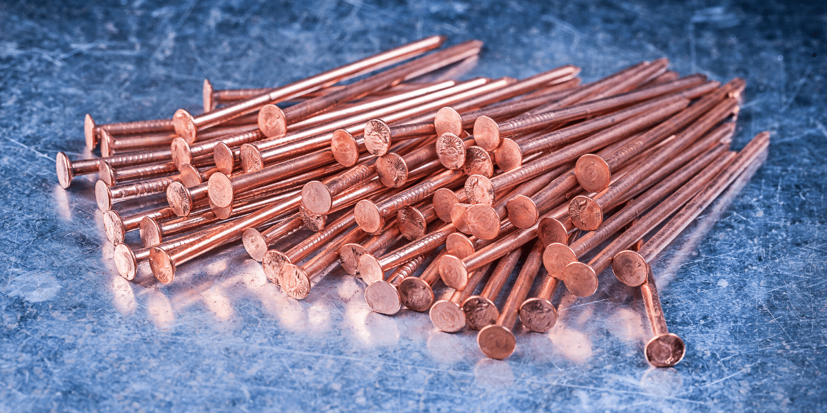 The Ultimate Nail Guide Different Types, Uses, Sizes